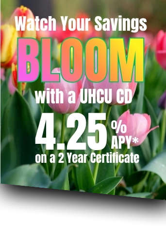 Colorful flowers blooming in spring.